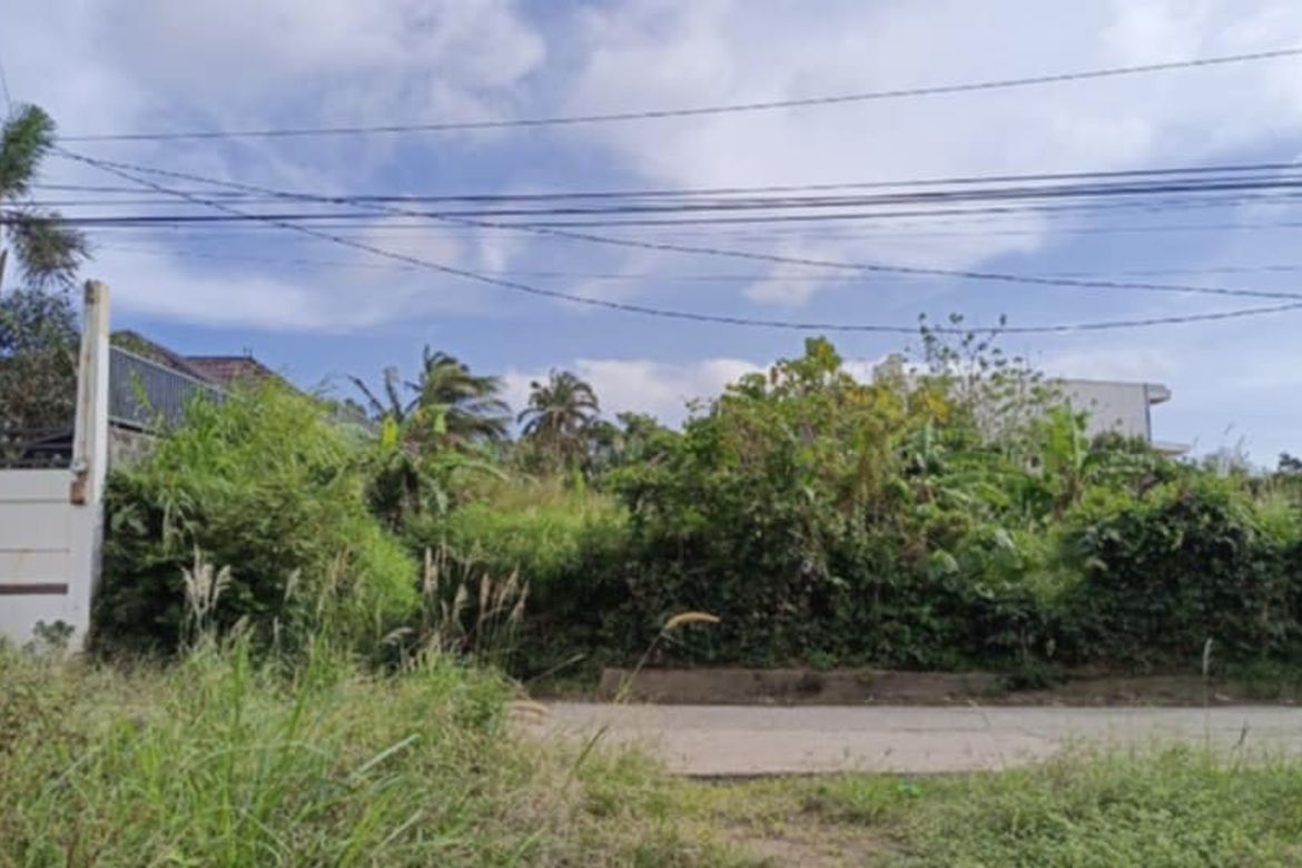 Land for Sale in Tolentino East, Tagaytay, Cavite – photo 2