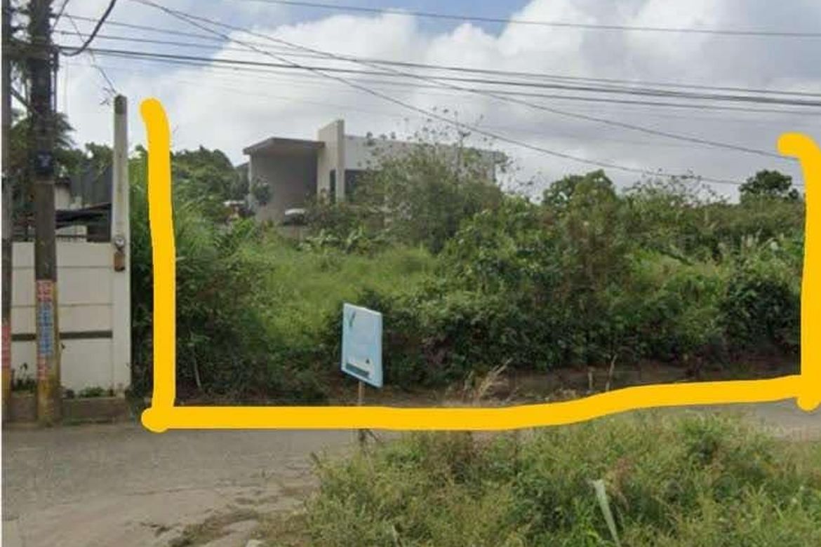 Land for Sale in Tolentino East, Tagaytay, Cavite – photo 4