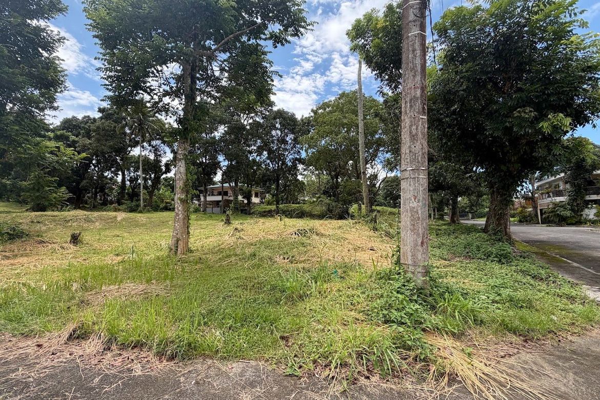 Land for Sale in Tolentino West, Tagaytay, Cavite – photo 2
