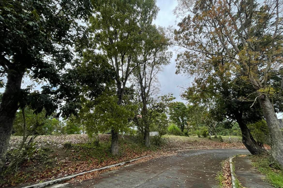 Land for Sale in Tolentino West, Tagaytay, Cavite