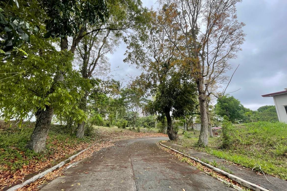 Land for Sale in Tolentino West, Tagaytay, Cavite – photo 4