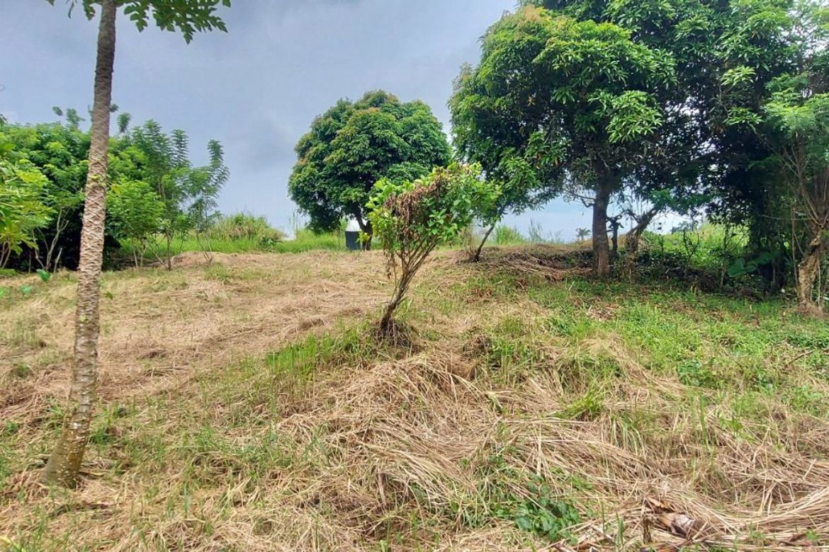 Land for Sale in Tolentino West, Tagaytay, Cavite – photo 2
