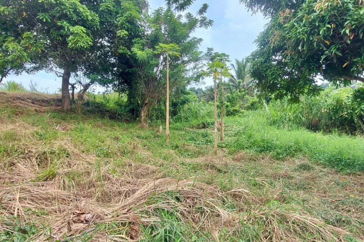 Land for Sale in Tolentino West, Tagaytay, Cavite – photo 4
