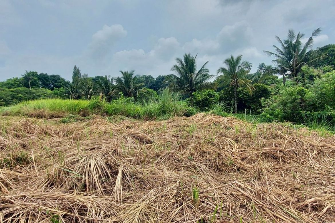 Land for Sale in Tolentino West, Tagaytay, Cavite – photo 6