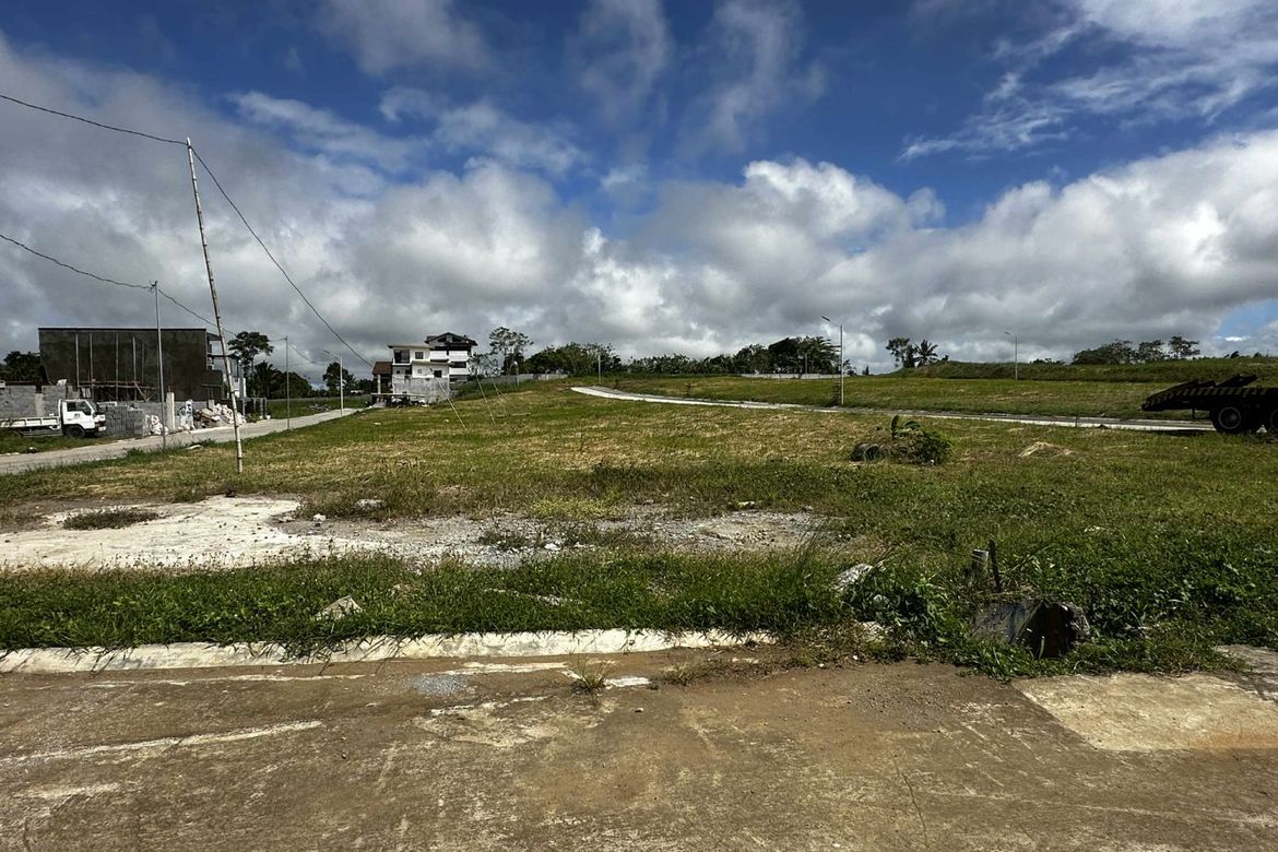 Land for Sale in Tolentino West, Tagaytay, Cavite – photo 4
