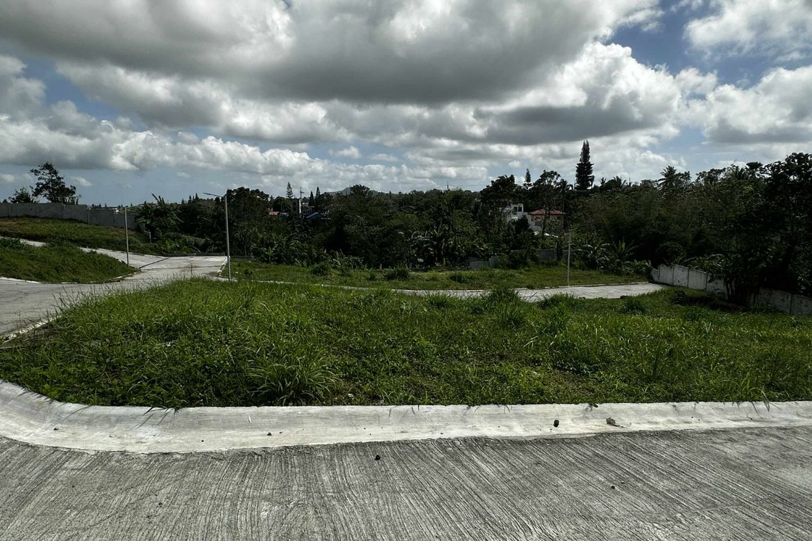 Land for Sale in Tolentino West, Tagaytay, Cavite – photo 5