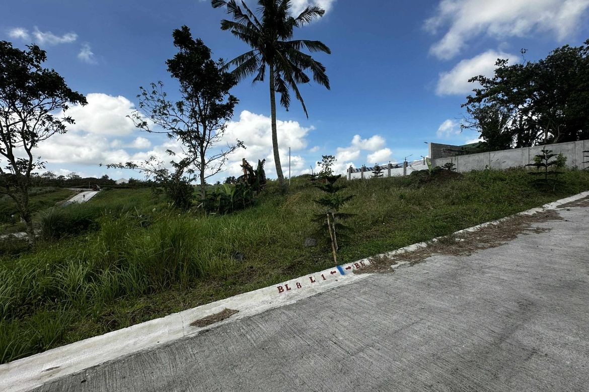 Land for Sale in Tolentino West, Tagaytay, Cavite – photo 8