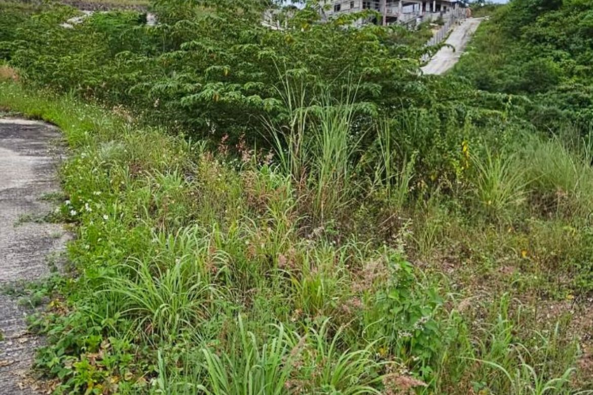 Land for Sale in Tolotolo, Consolacion, Cebu – photo 2