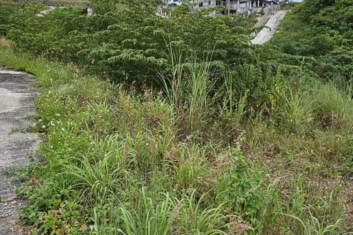 Land for Sale in Tolotolo, Consolacion, Cebu – photo 3