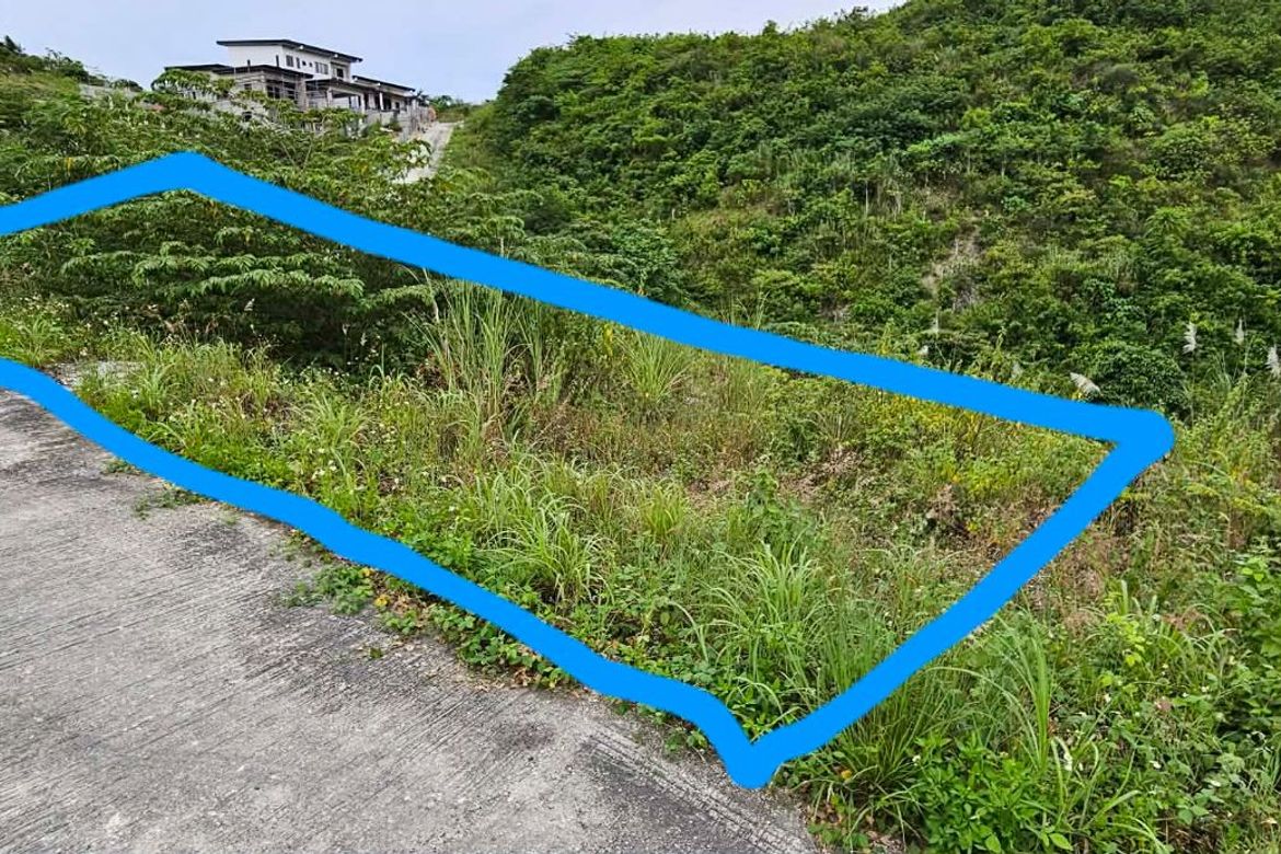 Land for Sale in Tolotolo, Consolacion, Cebu – photo 4