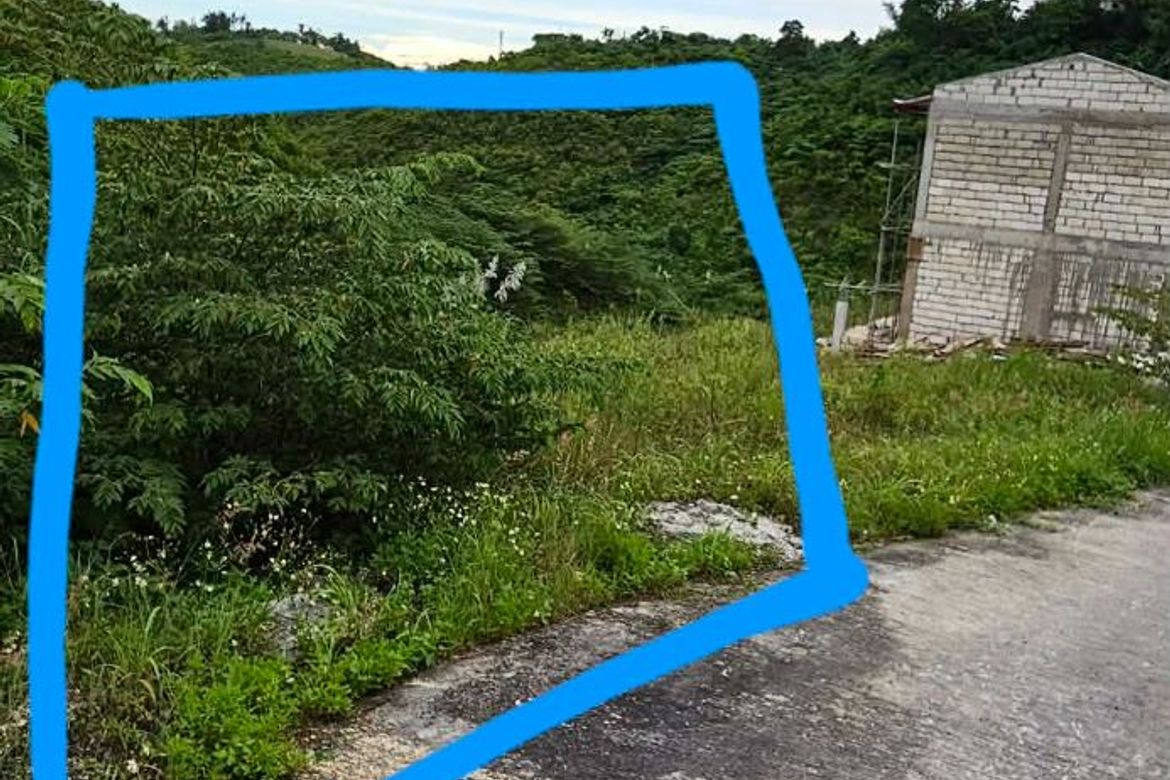 Land for Sale in Tolotolo, Consolacion, Cebu – photo 6