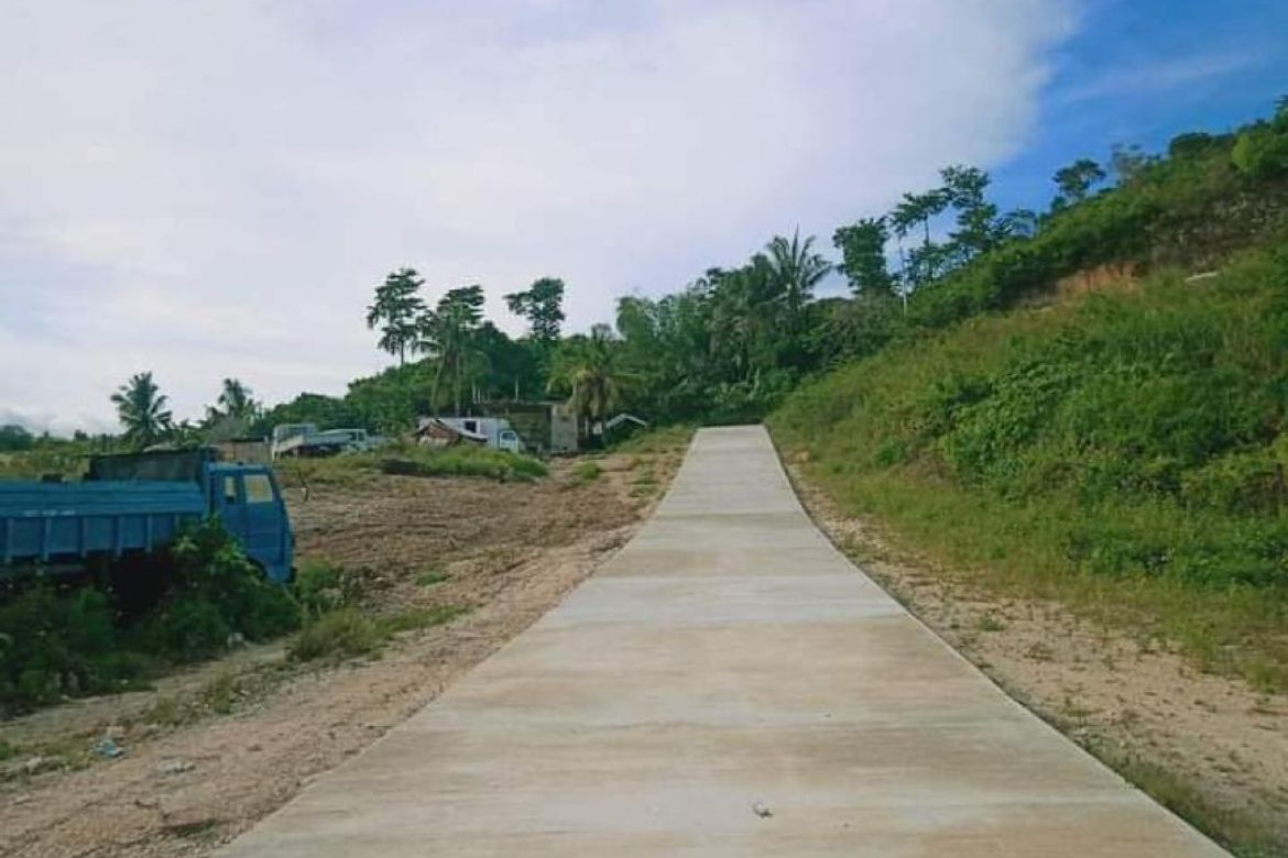 Land for Sale in Tolotolo, Consolacion, Cebu – photo 6