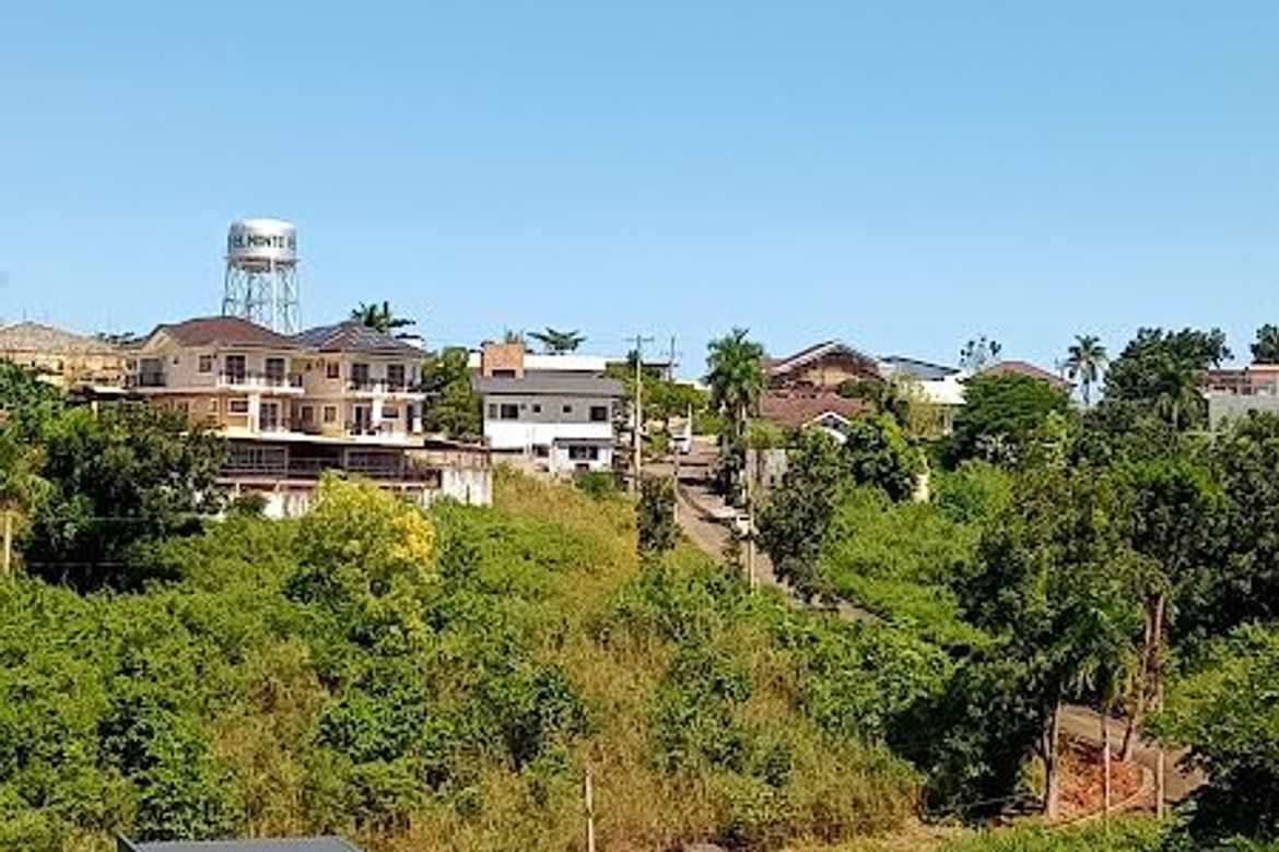 Land for Sale in Tolotolo, Consolacion, Cebu – photo 3