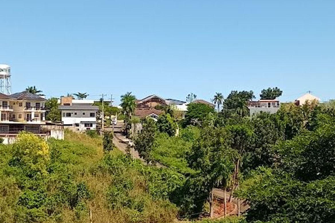 Land for Sale in Tolotolo, Consolacion, Cebu – photo 4