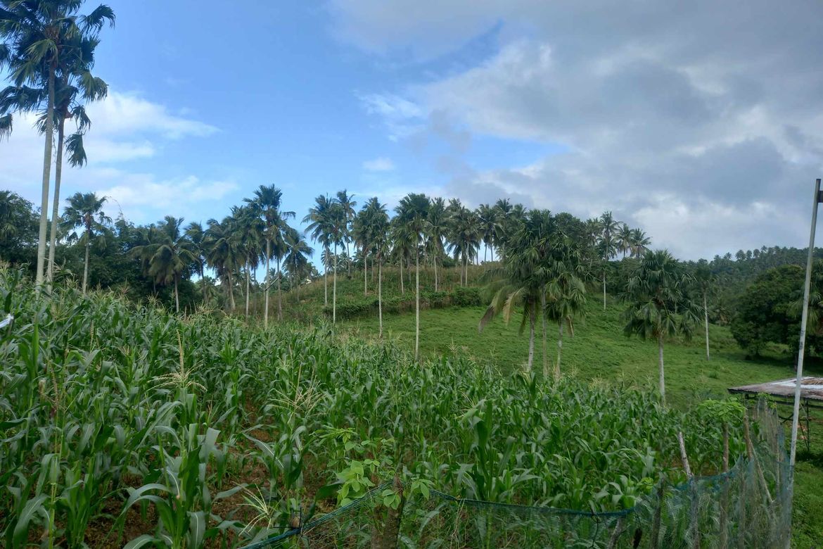 Land for Sale in Tomagoktok, Del Gallego, Camarines Sur