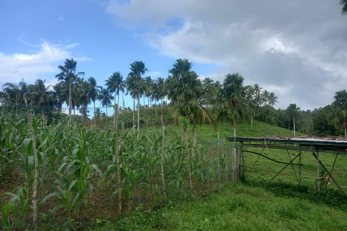 Land for Sale in Tomagoktok, Del Gallego, Camarines Sur – photo 3