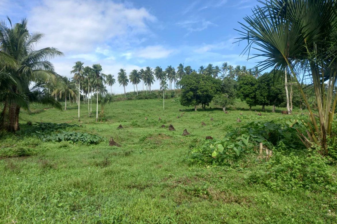 Land for Sale in Tomagoktok, Del Gallego, Camarines Sur – photo 6