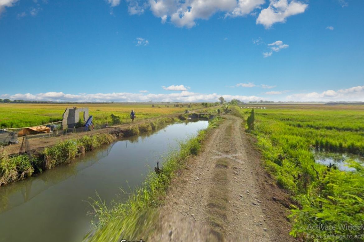 Land for Sale in Tombod, Villasis, Pangasinan – photo 6