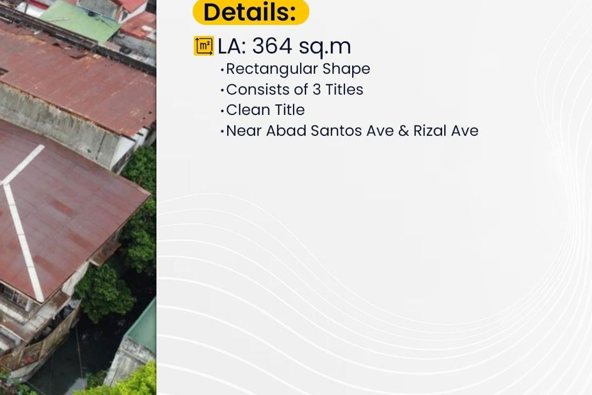Land for Sale in Tondo, Manila, Metro Manila – photo 2
