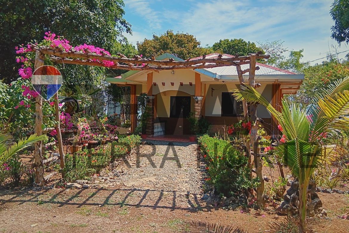Land for Sale in Tondol, Anda, Pangasinan