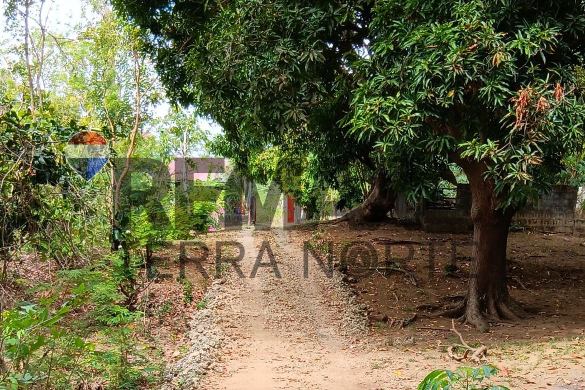 Land for Sale in Tondol, Anda, Pangasinan – photo 3