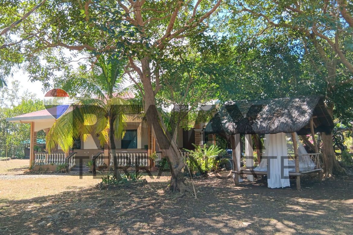 Land for Sale in Tondol, Anda, Pangasinan – photo 5