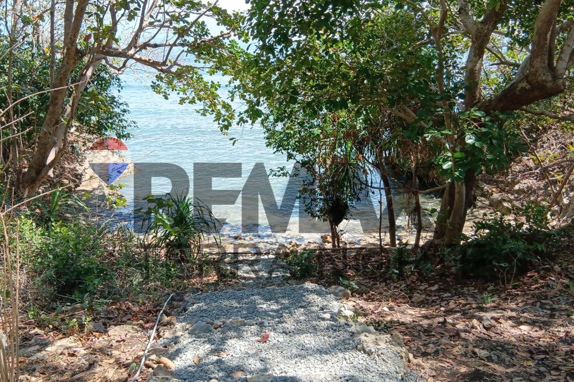 Land for Sale in Tondol, Anda, Pangasinan – photo 6