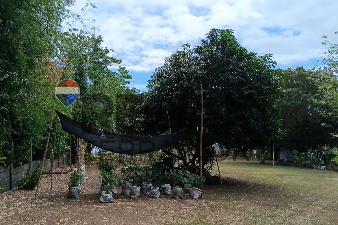 Land for Sale in Tondol, Anda, Pangasinan – photo 7