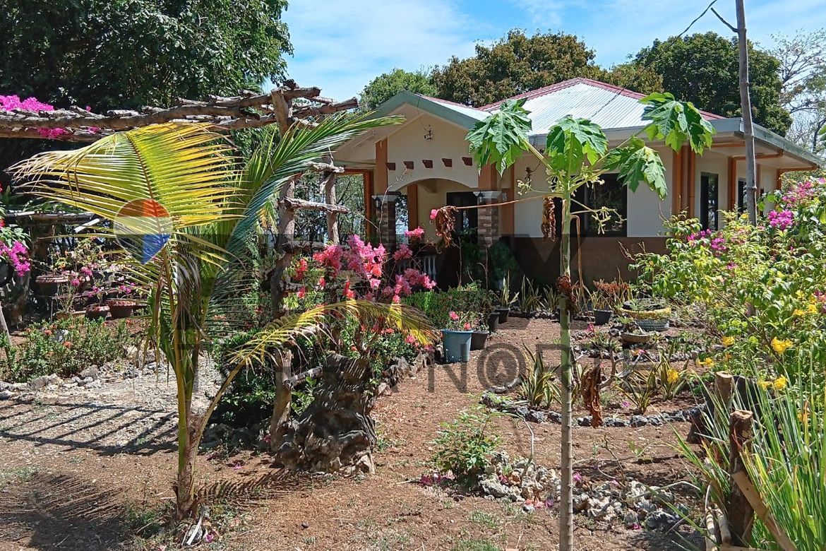 Land for Sale in Tondol, Anda, Pangasinan – photo 8