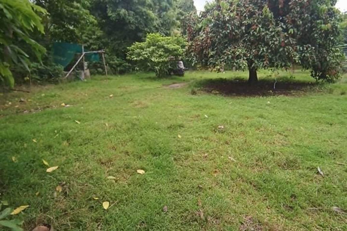 Land for Sale in Tondol, Anda, Pangasinan – photo 5