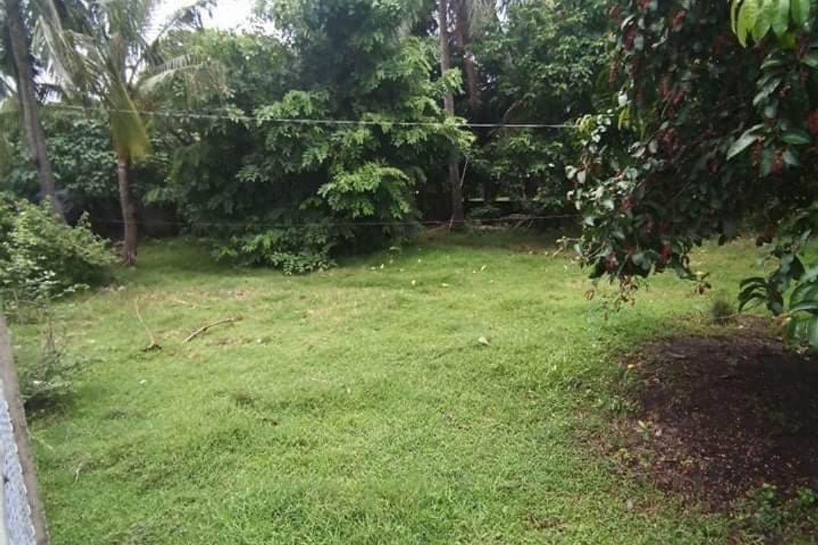 Land for Sale in Tondol, Anda, Pangasinan – photo 6