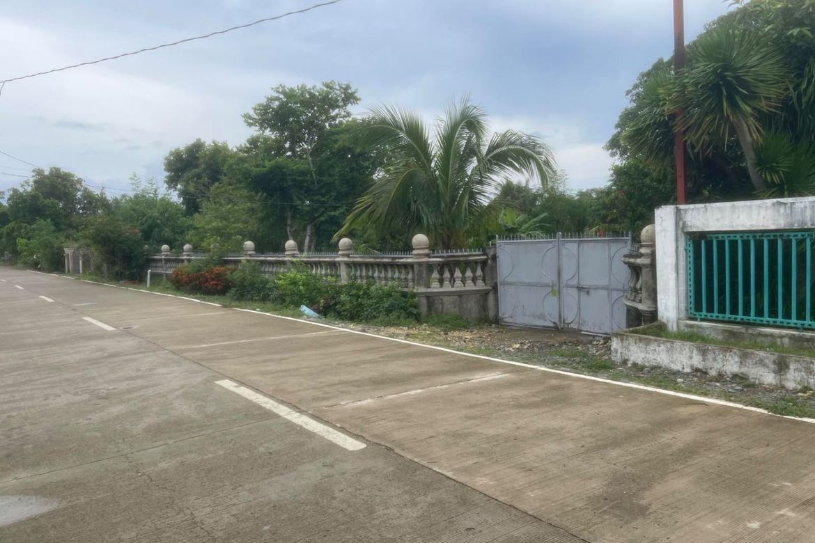 Land for Sale in Tondol, Anda, Pangasinan – photo 8