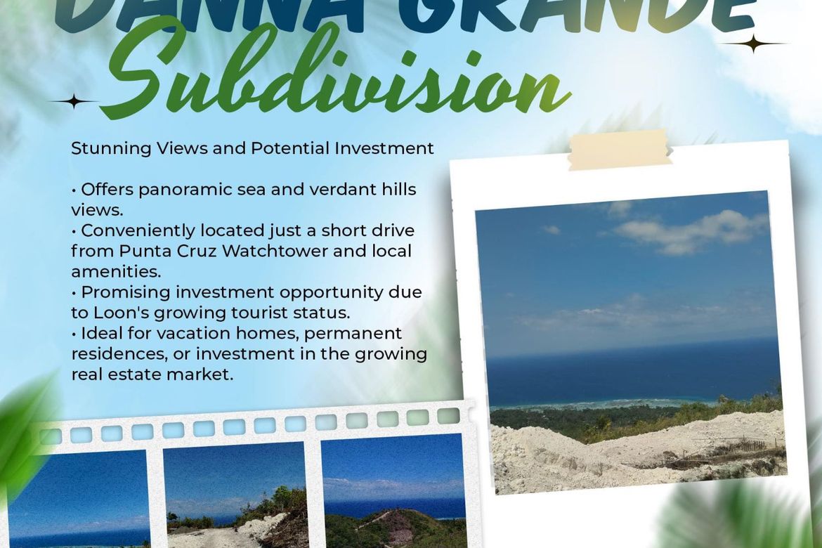 Land for Sale in Tontonan, Loon, Bohol – photo 3