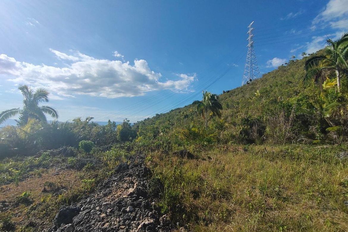 Land for Sale in Tontonan, Loon, Bohol – photo 4