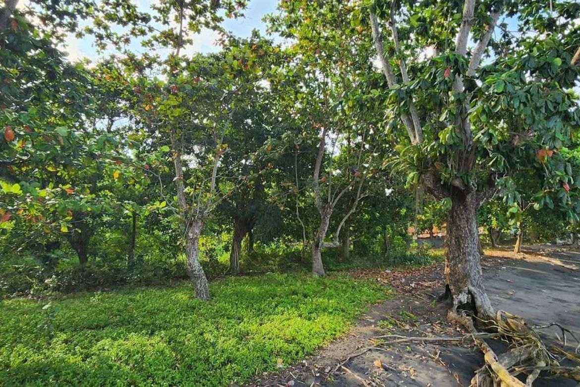 Land for Sale in Toril, Davao City, Davao del Sur – photo 2