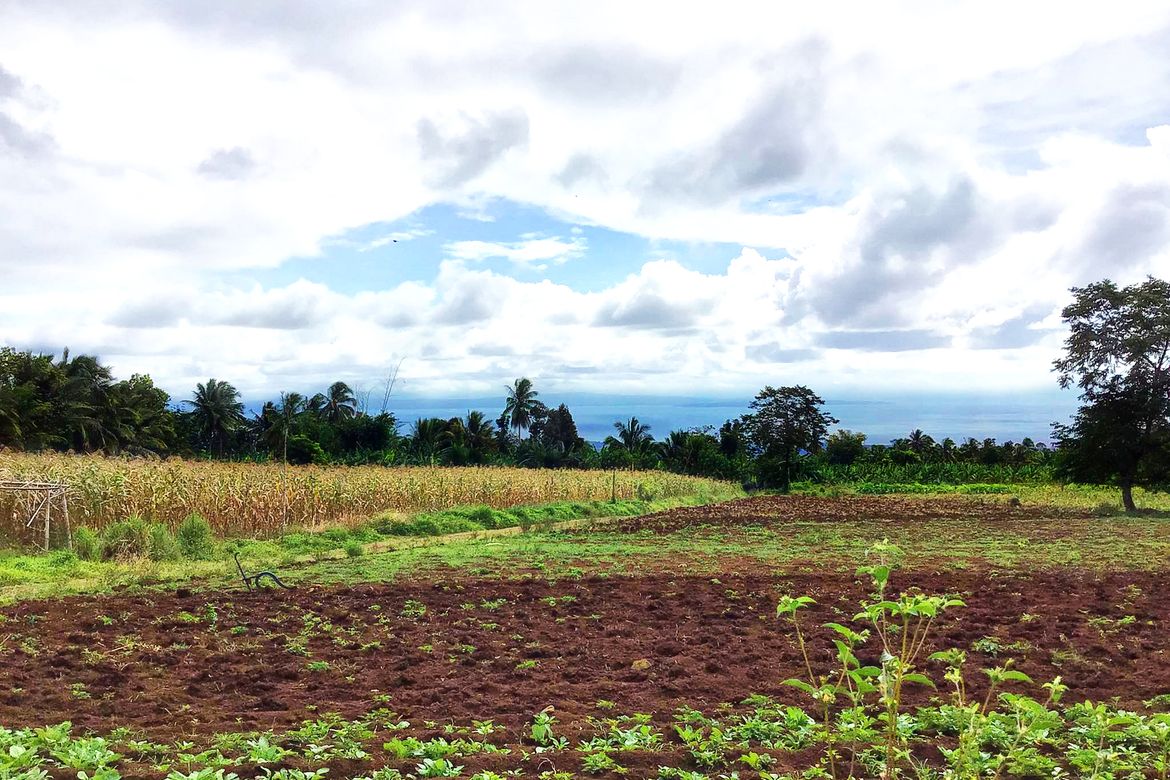 Land for Sale in Toril, Davao City, Davao del Sur