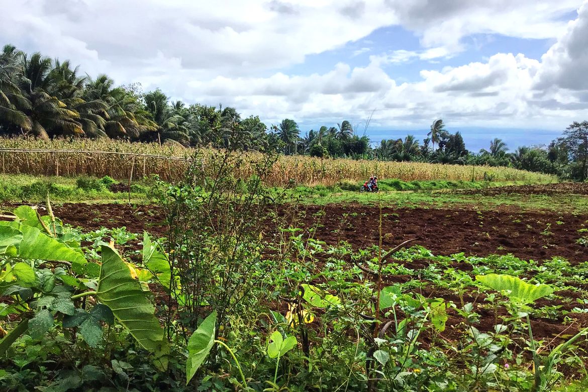 Land for Sale in Toril, Davao City, Davao del Sur – photo 6