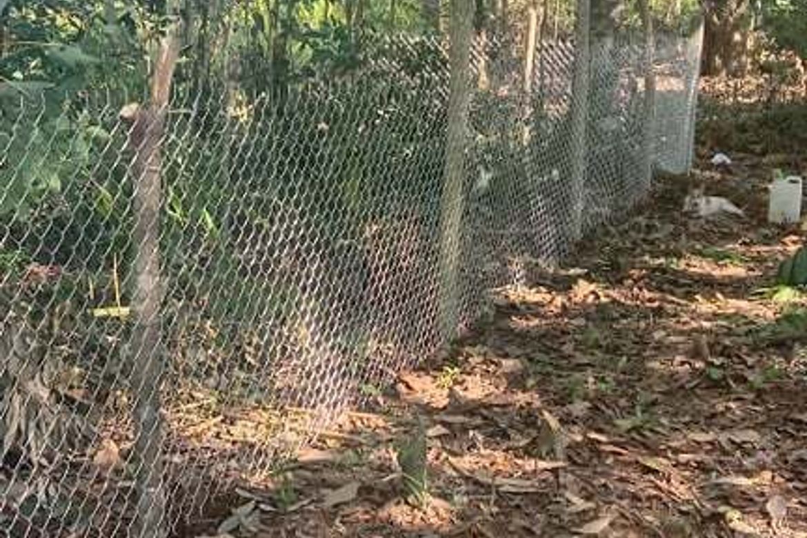 Land for Sale in Toril, Samal, Davao del Norte – photo 8