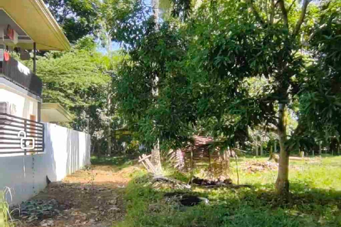 Land for Sale in Toril, Samal, Davao del Norte – photo 2