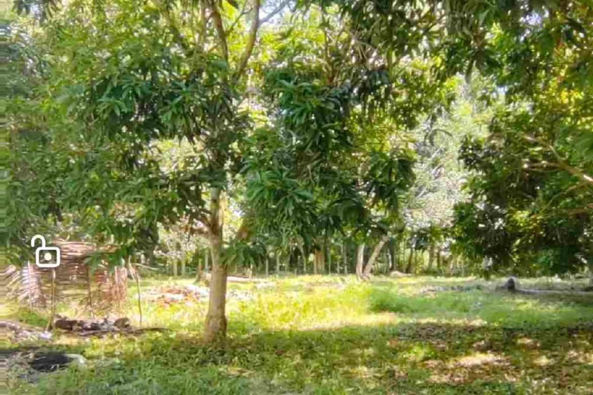 Land for Sale in Toril, Samal, Davao del Norte – photo 3