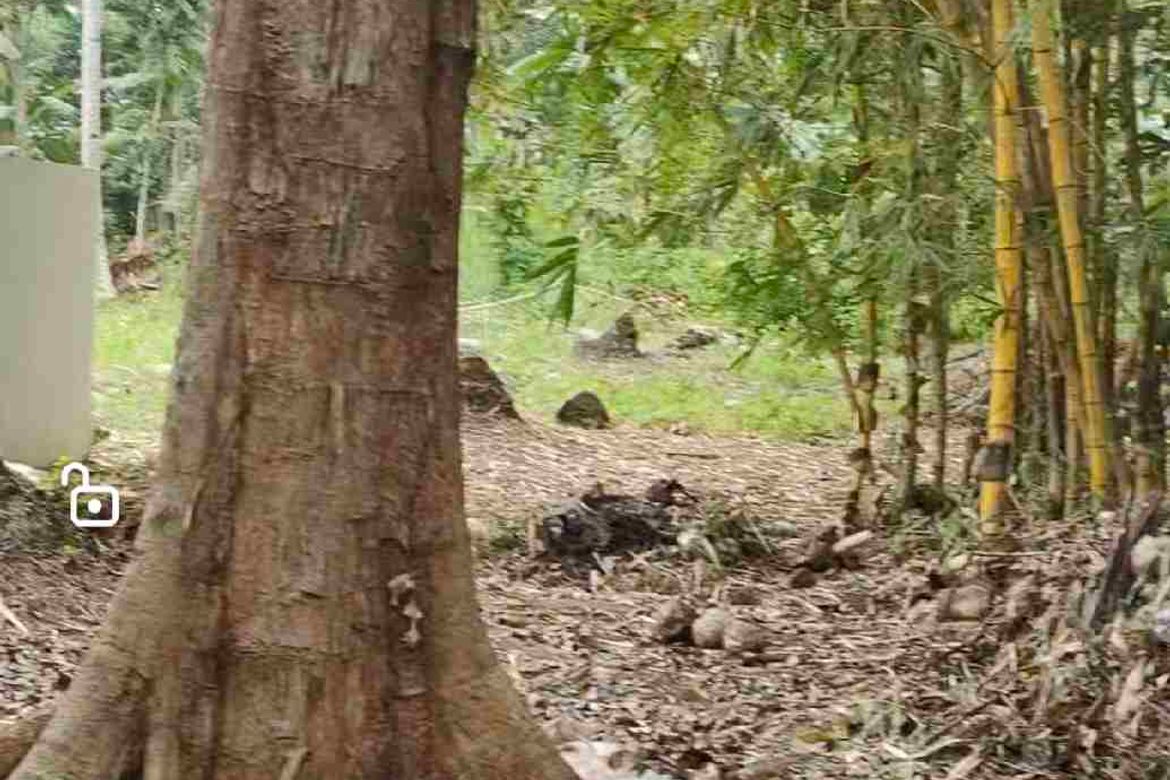Land for Sale in Toril, Samal, Davao del Norte – photo 8