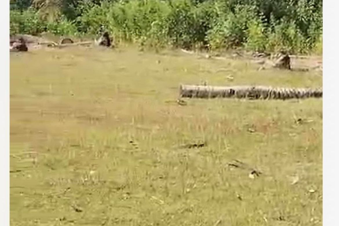 Land for Sale in Toril, Samal, Davao del Norte – photo 2