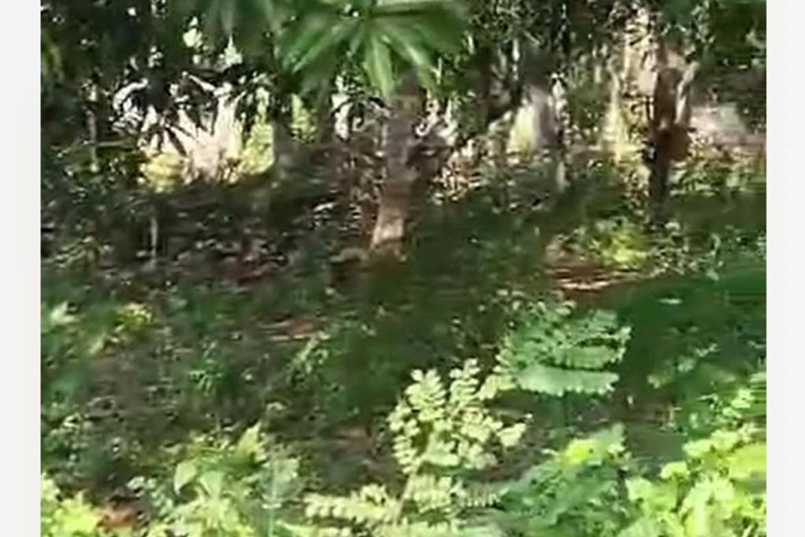 Land for Sale in Toril, Samal, Davao del Norte – photo 3