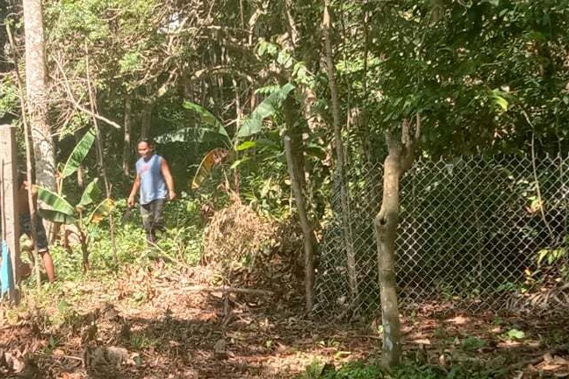 Land for Sale in Toril, Samal, Davao del Norte – photo 2