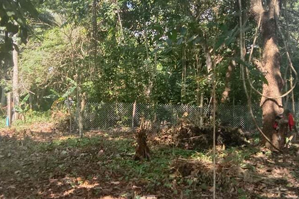 Land for Sale in Toril, Samal, Davao del Norte – photo 3