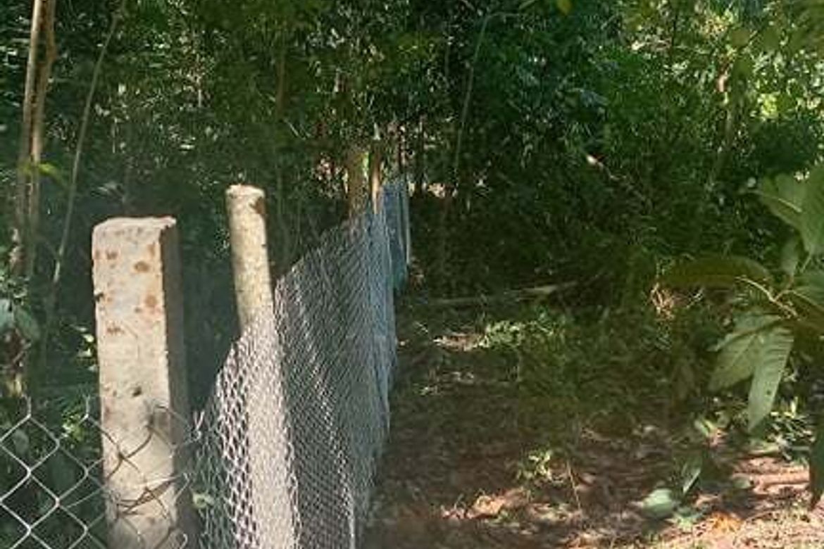 Land for Sale in Toril, Samal, Davao del Norte – photo 4