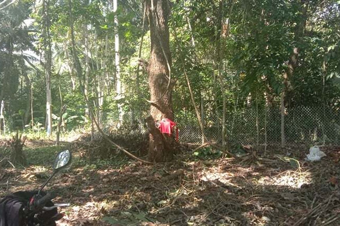 Land for Sale in Toril, Samal, Davao del Norte – photo 7