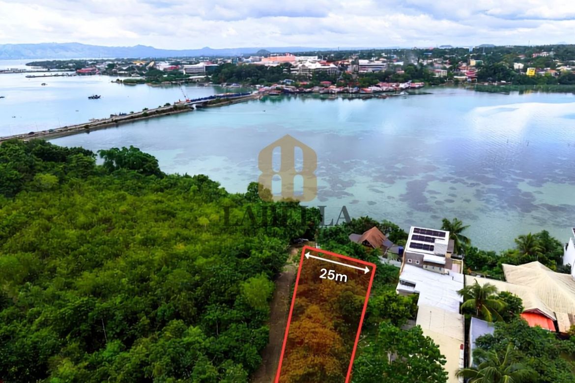 Land for Sale in Totolan, Dauis, Bohol – photo 2