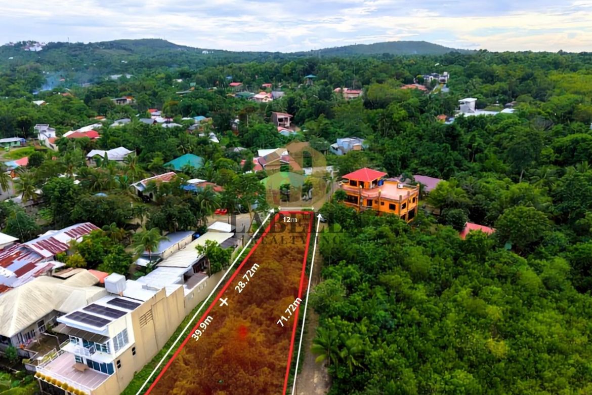 Land for Sale in Totolan, Dauis, Bohol – photo 4