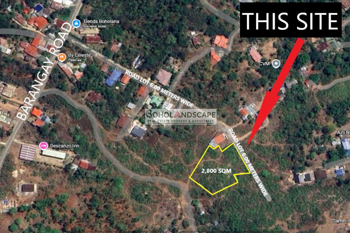 Land for Sale in Totolan, Dauis, Bohol